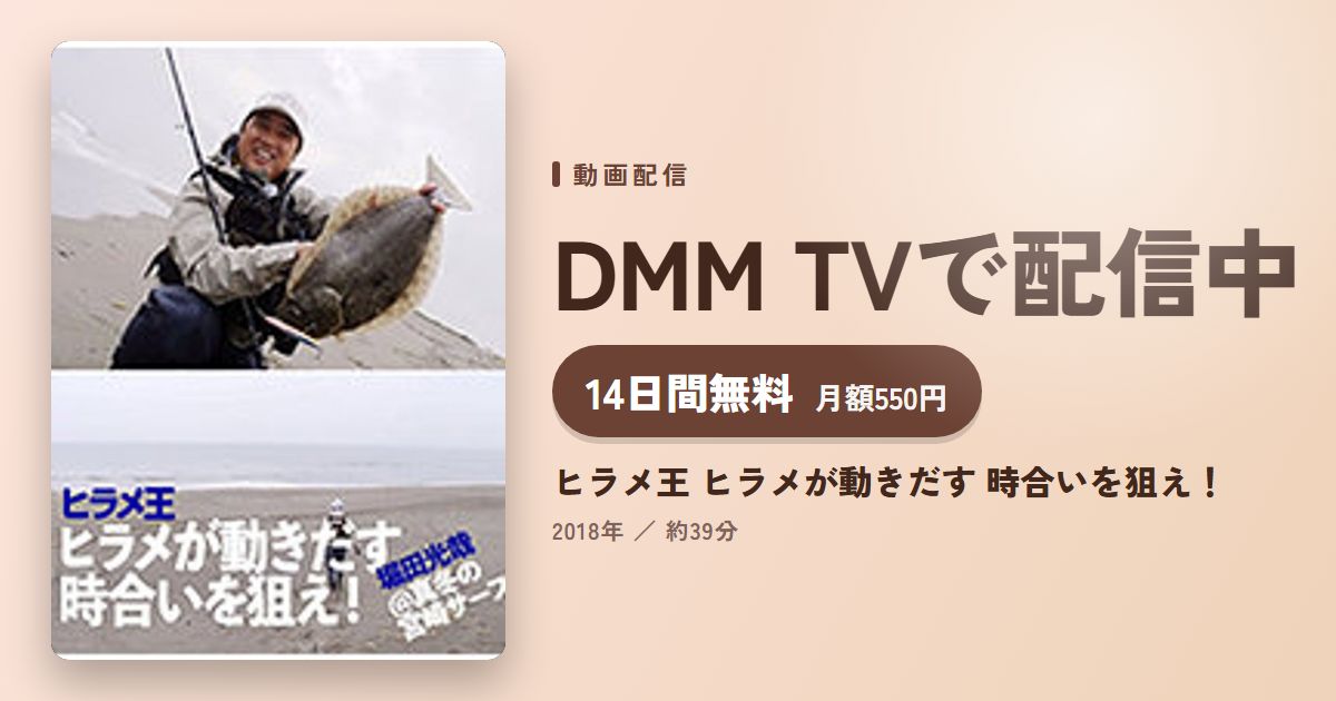 ヒラメ王 ヒラメが動きだす 時合いを狙え!のアイキャッチ