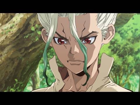 Dr.STONE（第1期）