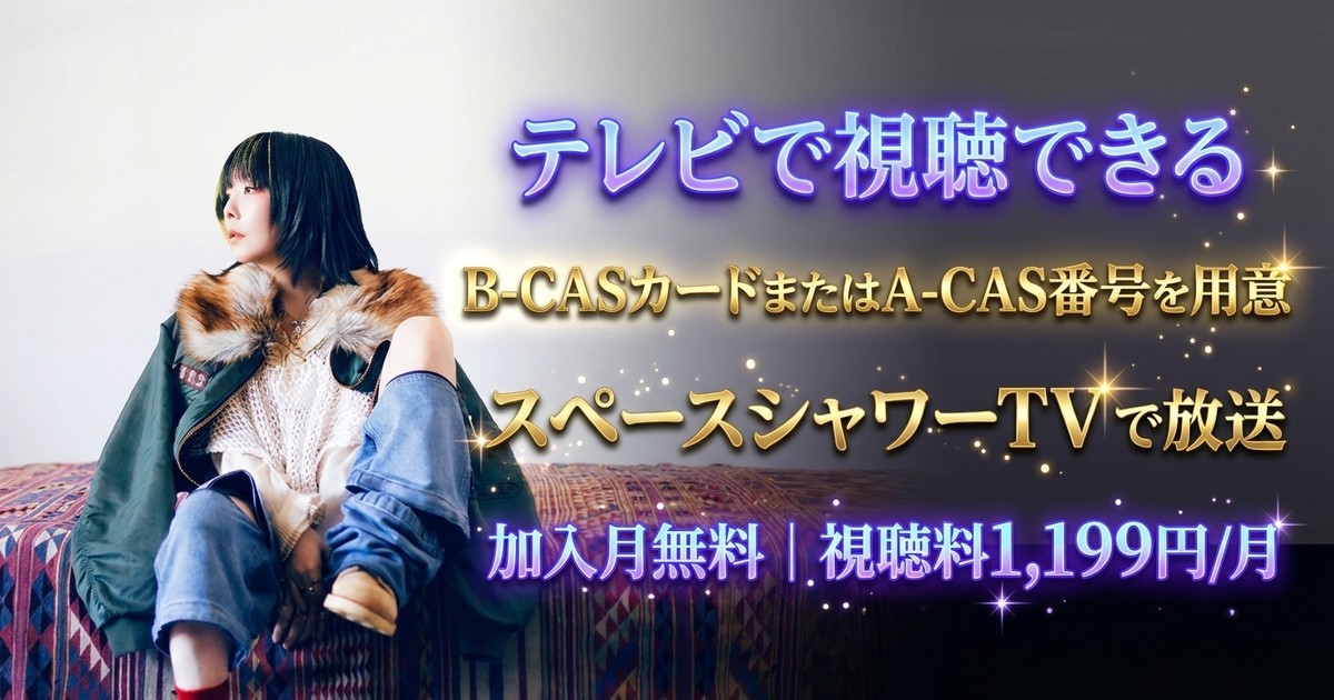 V.I.P. ―aiko―テレビ放送・見逃し配信視聴方法