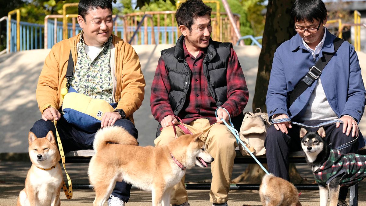 劇場版 柴公園