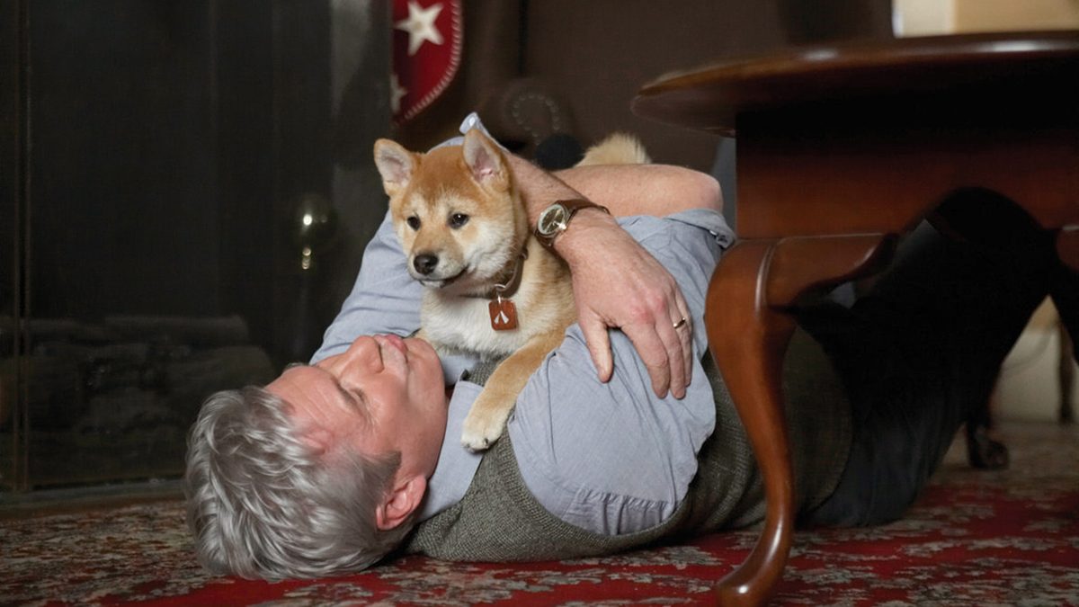 HACHI 約束の犬
