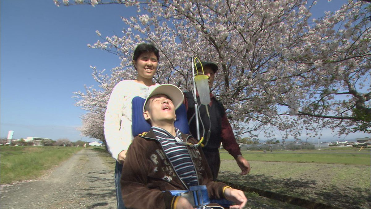 イーちゃんの白い杖