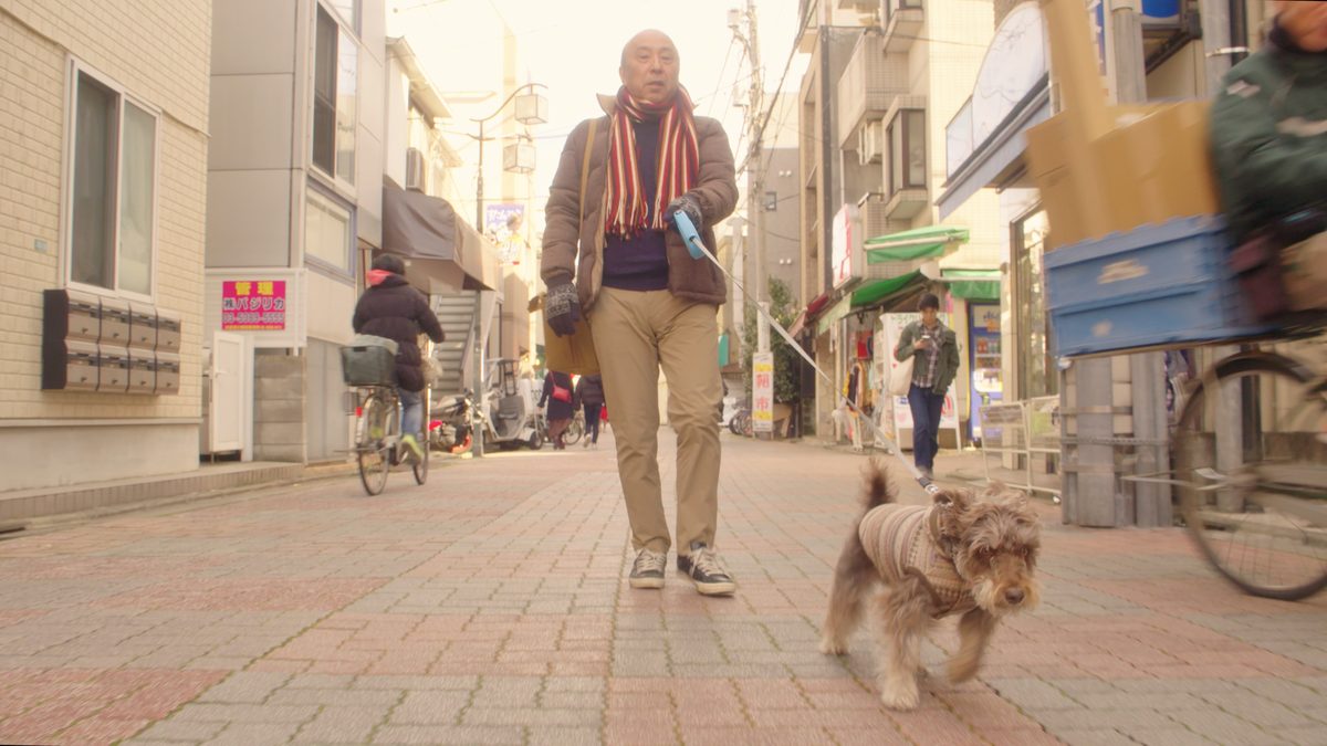 「犬が伝えたかったこと」