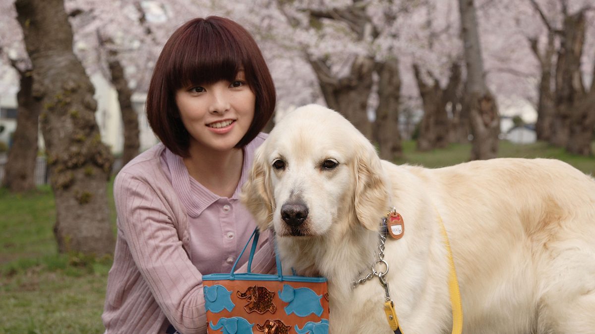 犬と私の10の約束
