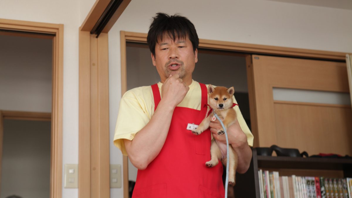 マメシバ一郎 フーテンの芝二郎