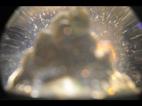 生と死にまつわる記憶の旅 第2幕 天地