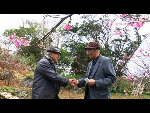 沖縄スパイ戦史