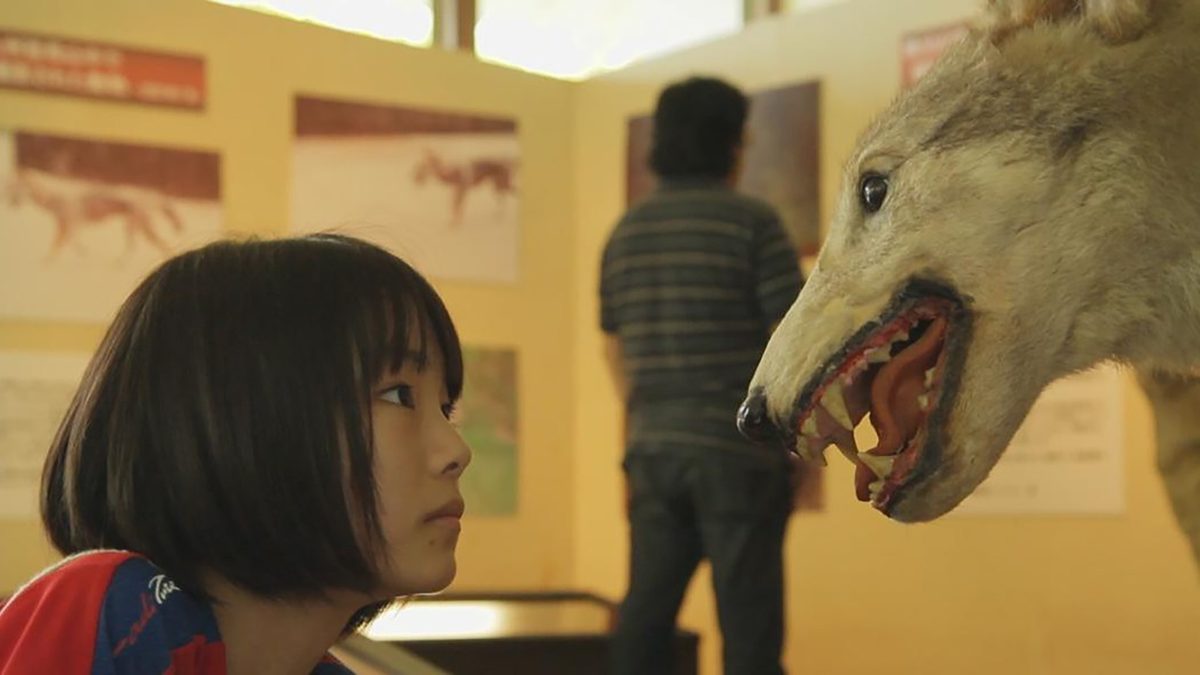 オオカミによろしく