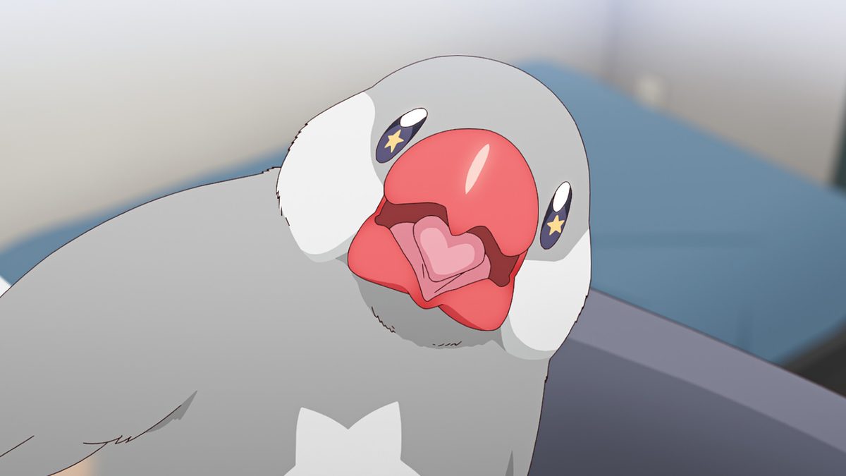 佐々木とピーちゃん
