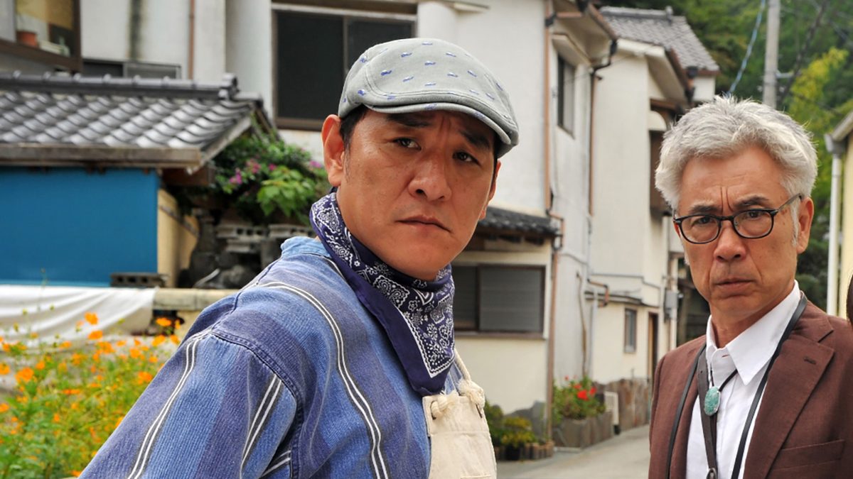 先生と迷い猫
