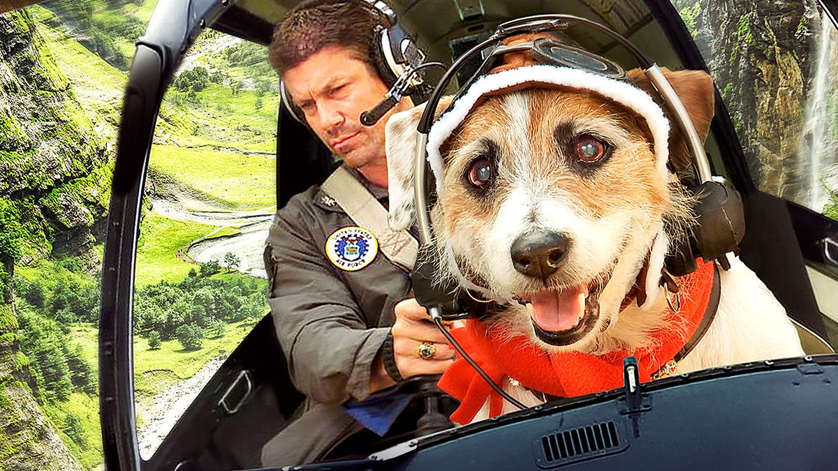 スター犬マーフィーの大脱走