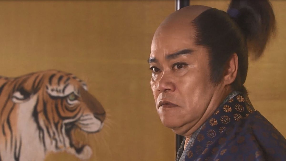 天下騒乱　徳川三代の陰謀