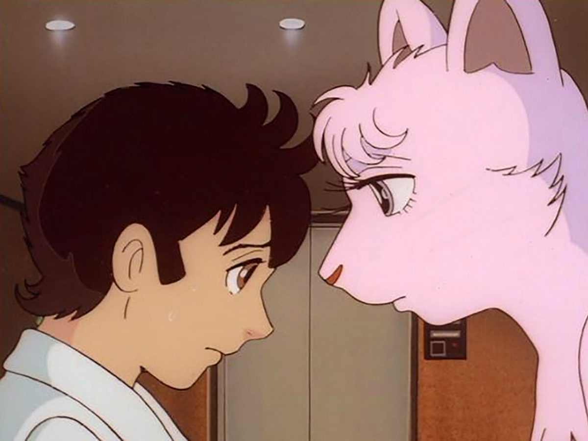 大自然の魔獣 バギ