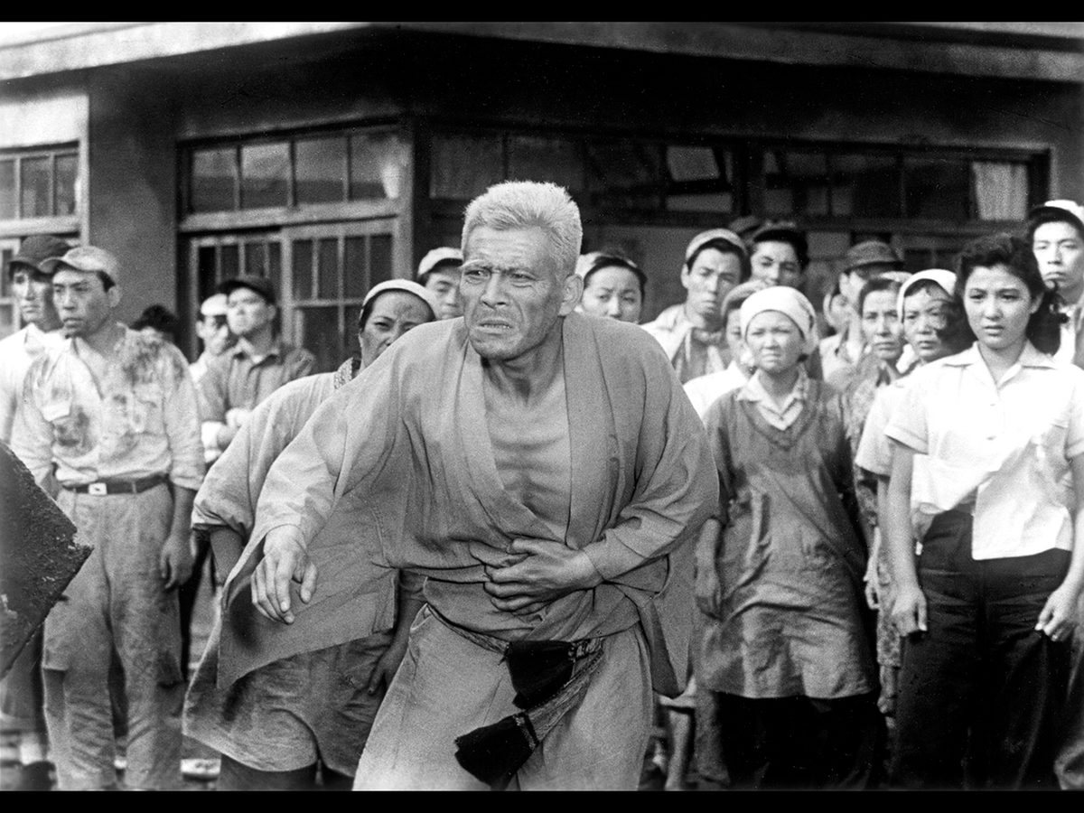 生きものの記録